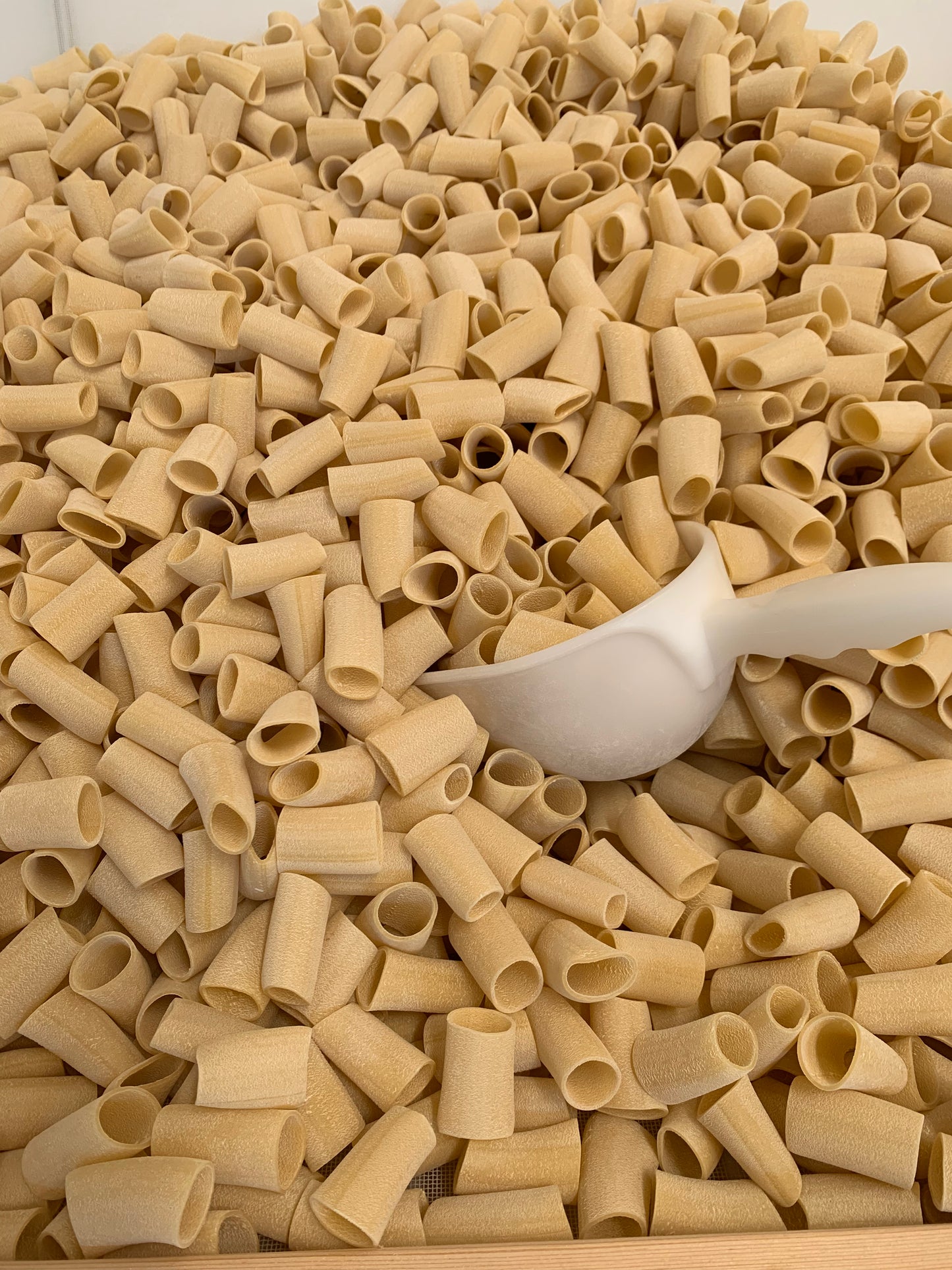 Paccheri (500g)