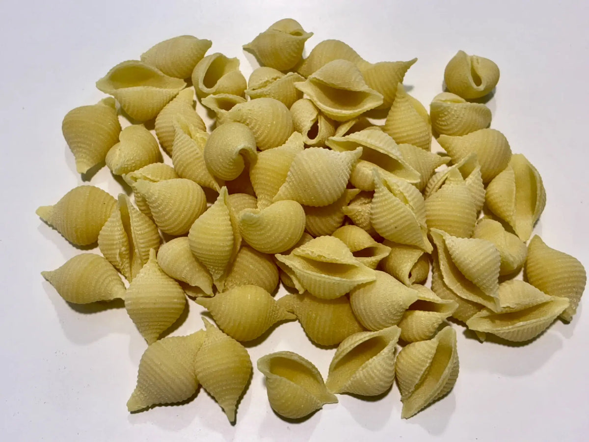 Conchiglie (500g)